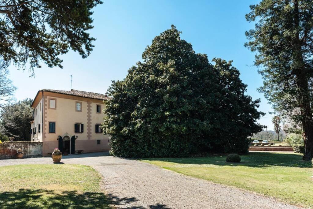 Villa Ott Crespina Bagian luar foto