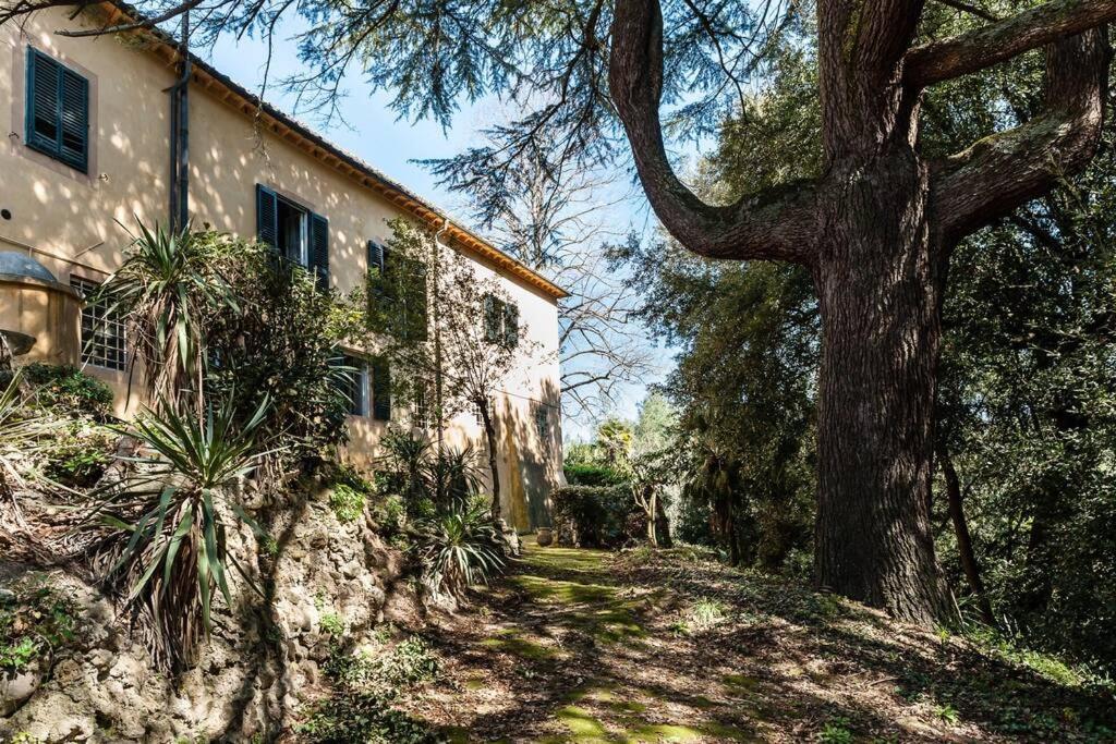 Villa Ott Crespina Bagian luar foto