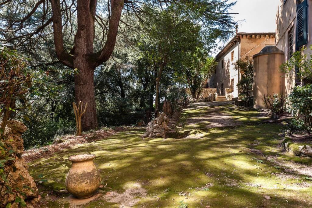 Villa Ott Crespina Bagian luar foto