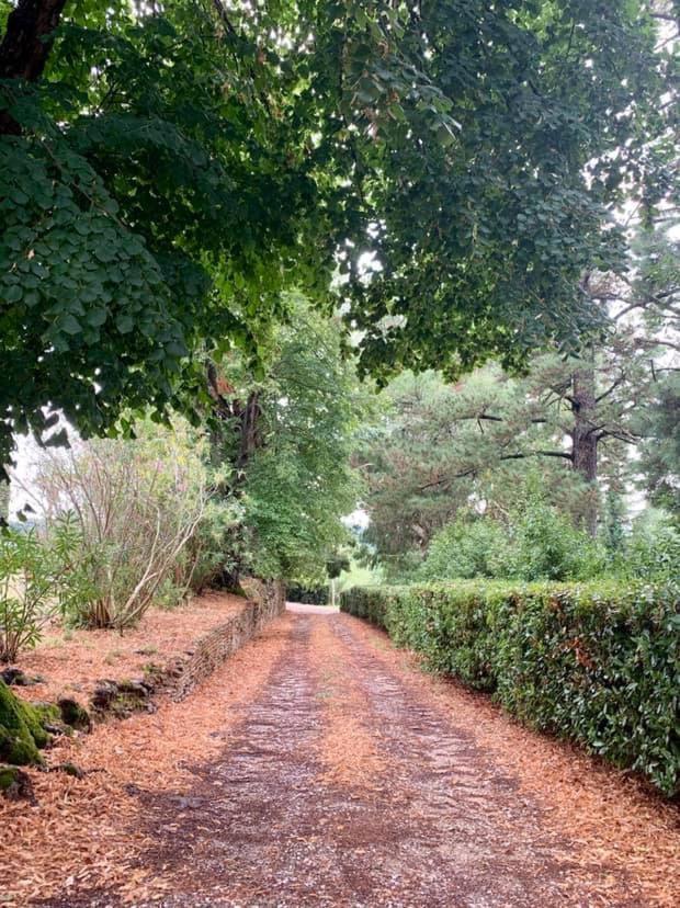 Villa Ott Crespina Bagian luar foto